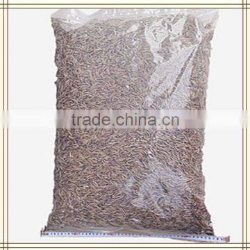 Live Mealworms Animal Feed/premium Dried Mealworm Bulk photo-6