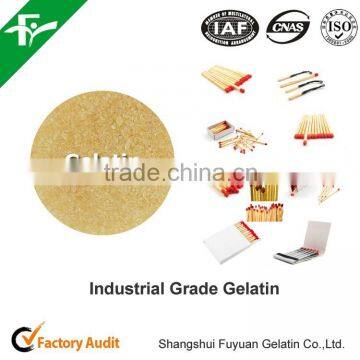 Buy Industrial Technical Gelatin photo-5