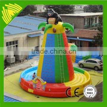 High Quality Inflatable Game Rides Castle Inflatable Climbing Wall