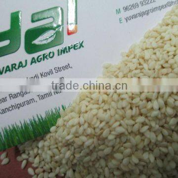 Best Quality Organic - Hulled Sesame Seeds from India