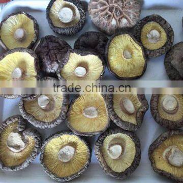 High Quality Dried Smooth Shiitake Mushroom Whole