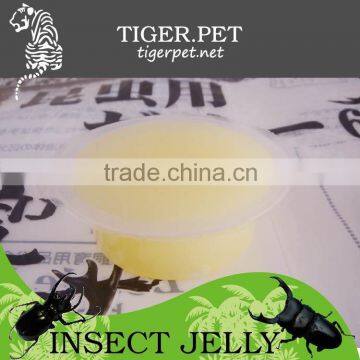 New Products Assorted Pudding Cup Jelly photo-4