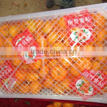 jiangxi nanfeng baby mandarin orange (taste delicious)