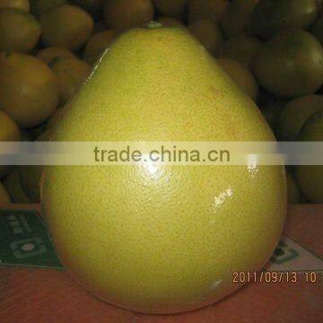 fresh pomelo 2012