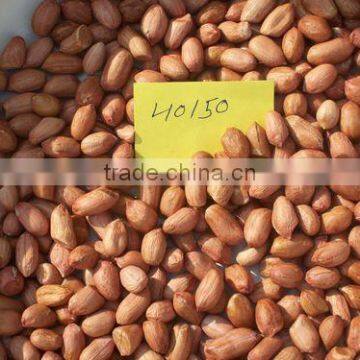 Wholesale peanuts