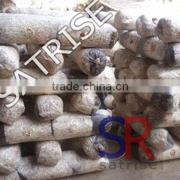 Hot Sale From China Professional Manufacturer Shiitake Mushroom Log photo-5