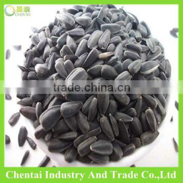 Buy Sunflower oil Seed edible seeds for oil