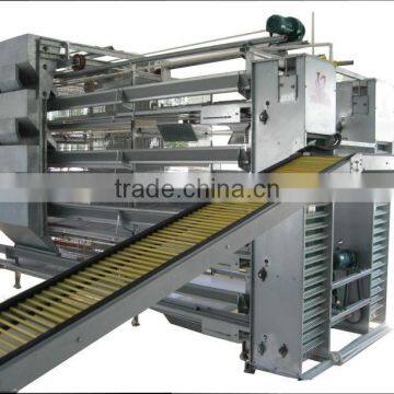 automatic poultry equipment