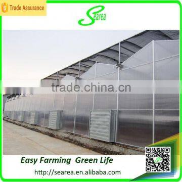 Commercial Greenhouse for Agriculture Flower Grow photo-4