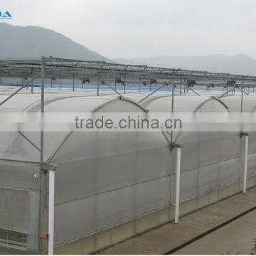 BaoLiDa Agriculture used Greenhouse