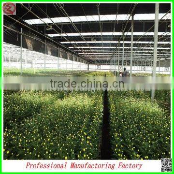 Hot Sale Used Steel Truss Structure Multi-span Greenhouses From China Manufacturer photo-4