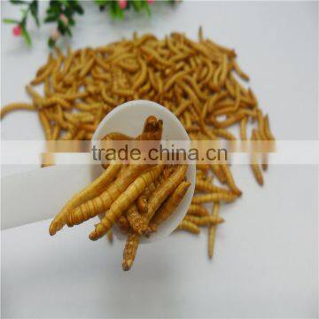 Freeze Dried Meals Sold on photo-2