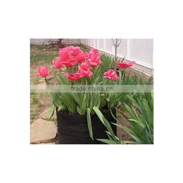 High-quality plant grow fabric pot smart non woven plant bag (1 gal to 1200 gal)