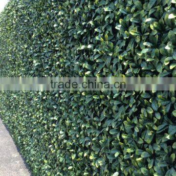 SJ04001115 High Quality Plastic Artificial Grass Turf Mat photo-2