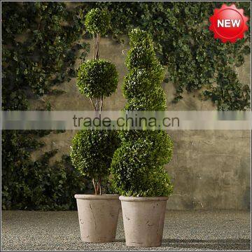 Decorative real boxwood topiary