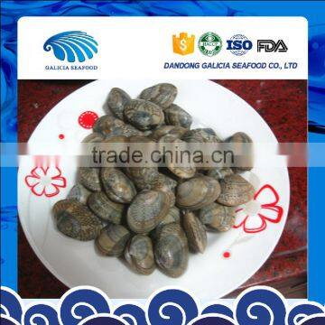 Frozen Variegated Clam Cheap Pirce For Sale