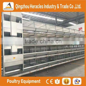Heracles Automatic Chicken Poultry Farm Layer Cages for Sale in Zimbabwe photo-5