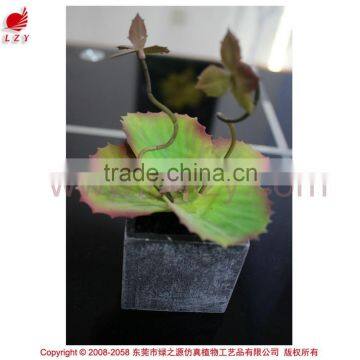 Succulent plants potted succulent artificial bonsai plant succulent