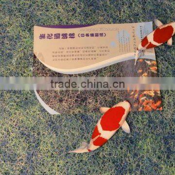 Popular Good Selling Durable Japanese Filter Mat for Fish Pond,fish Tank and Aquarium Filter Mat photo-6