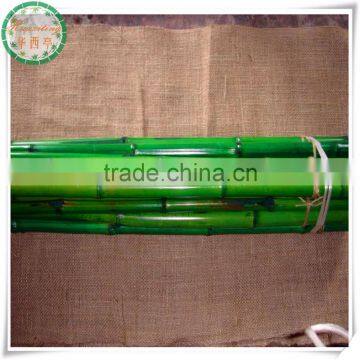 colored Straight green Raw Bamboo Poles for sale