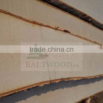 Unedged Birch Timber/planks/boards photo-2