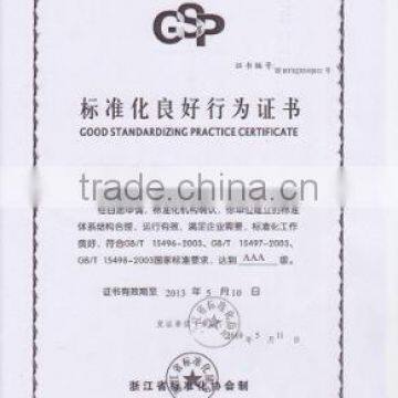 Good Standardizing Practice