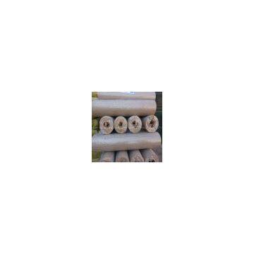 Welded Wire Mesh Panel