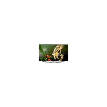 Samsung UN60ES8000 60-Inch 1080p 240 Hz 3D Slim LED HDTV (Silver)