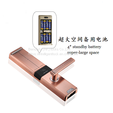 China Keyless BL-B3 Fingerprint Digital Door Lock photo-2