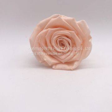 Artificial luxury and colorful preserved natural flowers long life