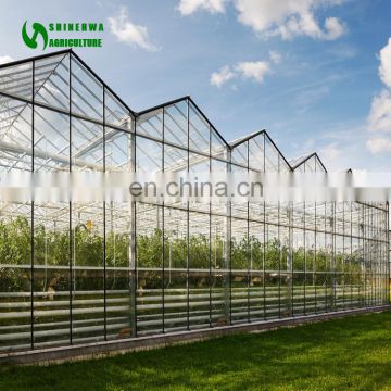 High quality Greenhouse Parts Safe Glass Greenhouse In China