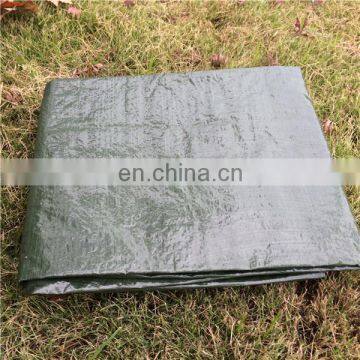 PE Tarpaulin in roll Canvas cover