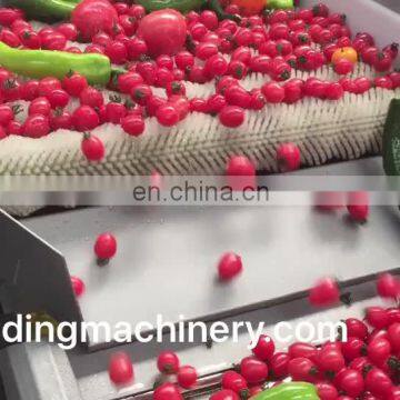 Cucumber washing machine fruit washing machine