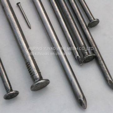 Common Wire Nails Used in Building MS Wire Nails Galvanized to Building