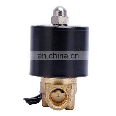 2W025-08 2 Way Air/ Water Brass Direct Acting Normally Open 12V 110V 24V 220V Micro Mini Water Solenoid Valve