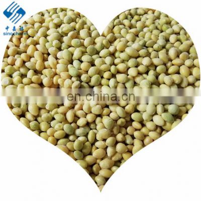 Chinese Ginko Nut IQF Frozen Ginkgo Nut