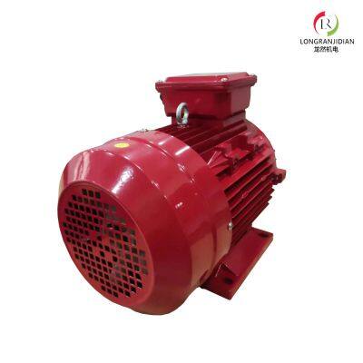 Ie3 Premium Efficiency Electric Motor