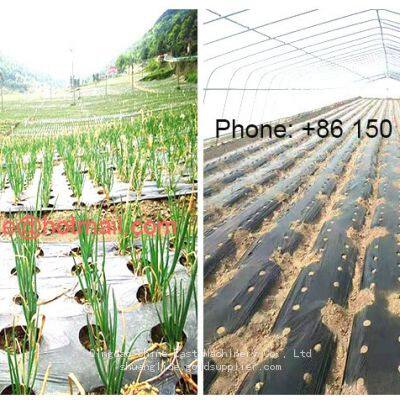 Mulch Film Punching Machine photo-4