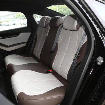 BYD-QinPULS-DM photo-5