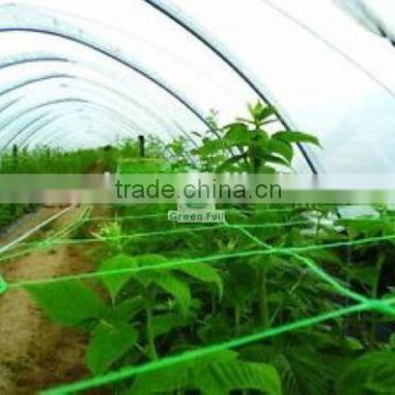 GARDEN PEA MESH NETTING