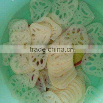 School Used Industrial TJ-311 Wafer Cutting Machine photo-4