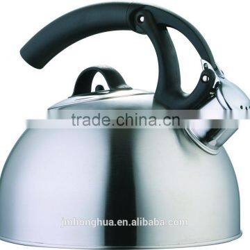 Stainless steel tea kettle