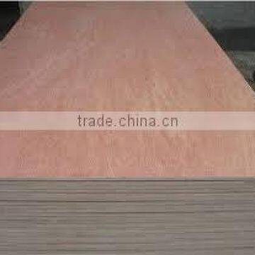 Plywood/Bintangor/Birch Plywood/Agathis Plywood/NZ Pine Plywood photo-2