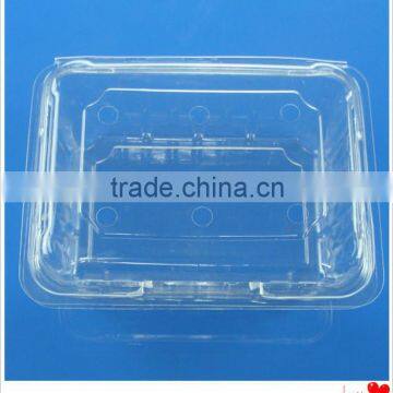 PET disposable plastic fruit Tray/container