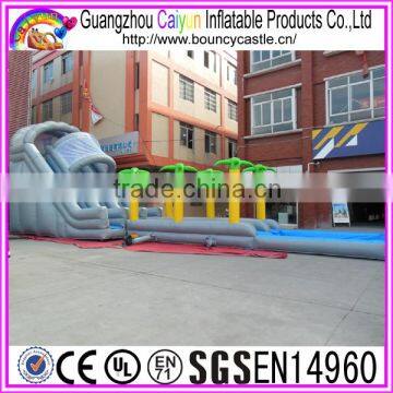 Outdoor Game Long Inflatable Water Slide For Sales photo-5