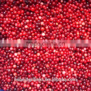 frozen style Chinese fresh lingonberry