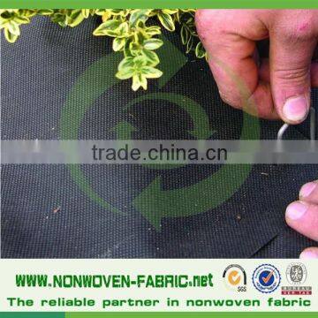 PP Non Woven Weed Control Barrier Black Color photo-6