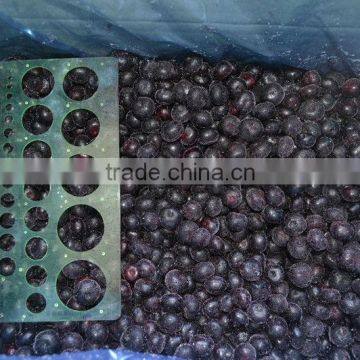 new season of 2015 IQF bulk Frozen blueberry