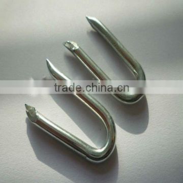 Barbed U-shape Nails/Square bottom U shaped nail (ISO9001)                        
                                                Quality Choice