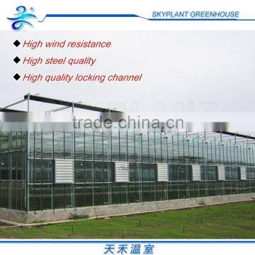 Horticultural Glass Greenhouse Multi-span Glass Greenhouse